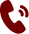 Phone Icon